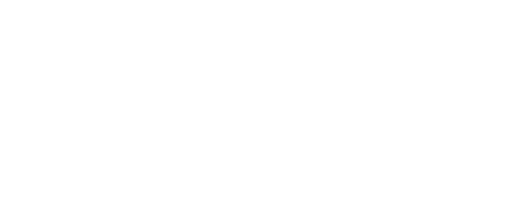 Ewering Exklusiv Logo in Negativ-Variante auf transparentem Hintergrund freigestellt - Exklusivarbeiten