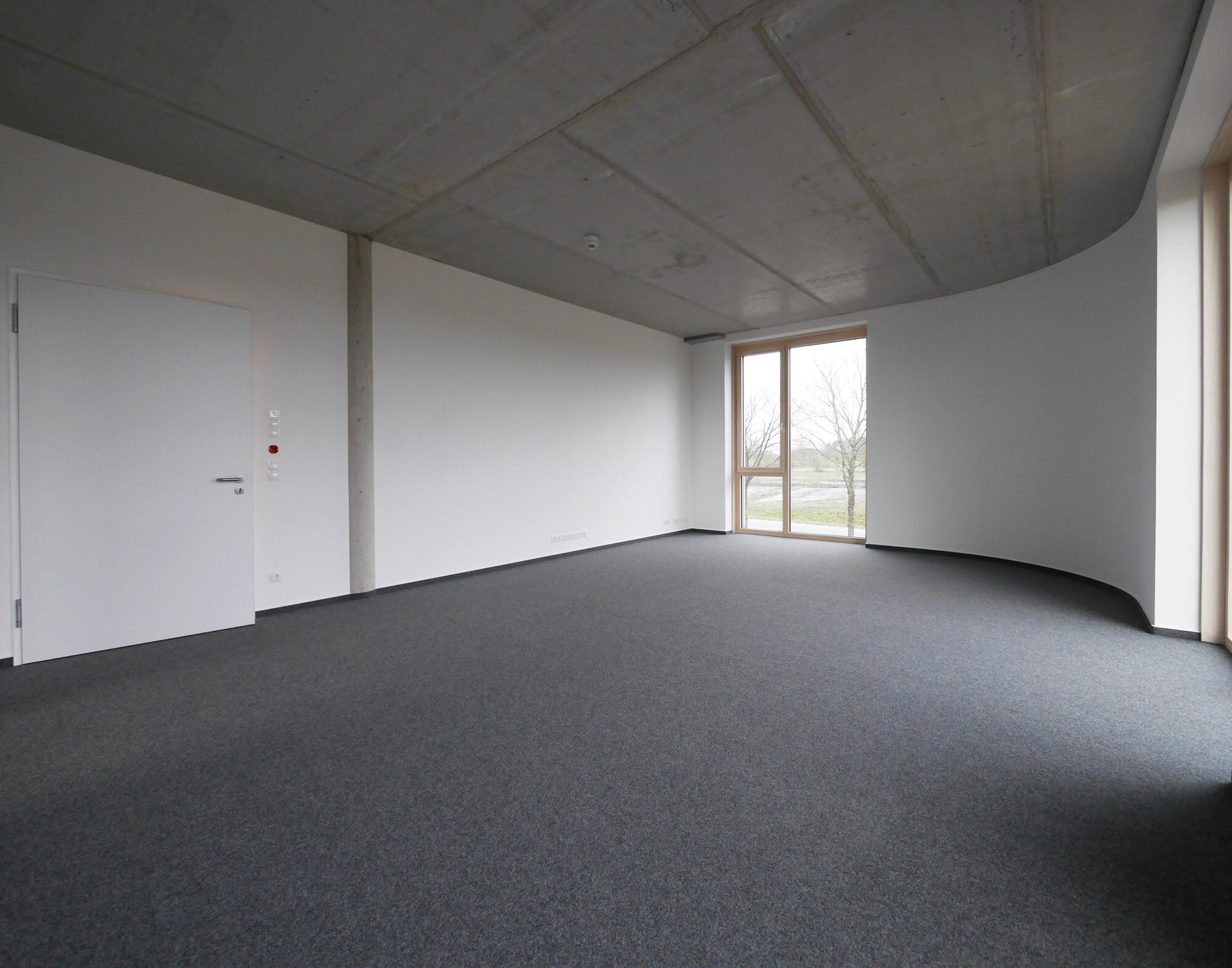 Innenraum mit grauem Teppich und modernem Beton-Designdecke – IDPM Gebäude B