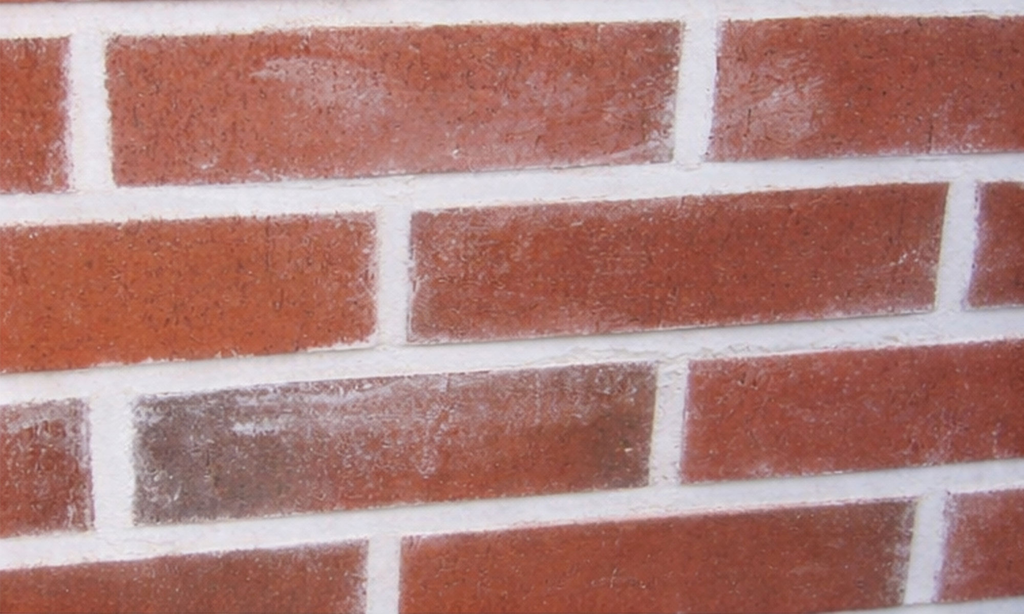 Roter Klinker mit weißen Salzausblühungen in Detailansicht der Fassade - Untergrundreinigung